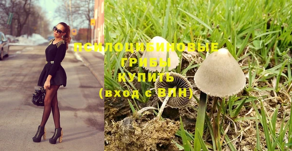 бошки Алексин